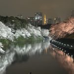 4年ぶりの桜ライトアップ・お花見婚活パーティー