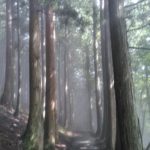 霧の三峯神社～良縁の蝶々・奥宮へ