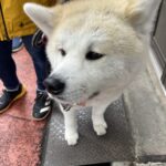8月30日ご先祖コン女性残りわずかです！
