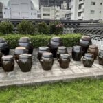 バレンタインの日だけ💘ドローンショーと韓国お正月トックク試食！